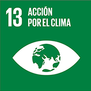 Icono 13 acción por el clima ODS