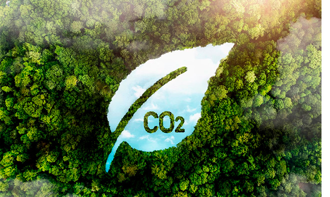 Huella de Carbono 0