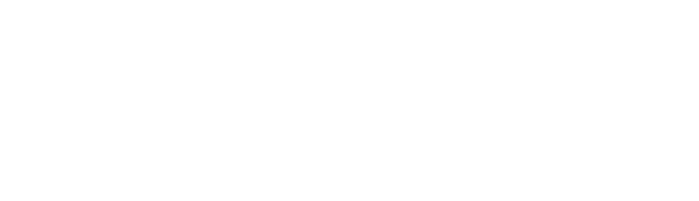 Logo zenit